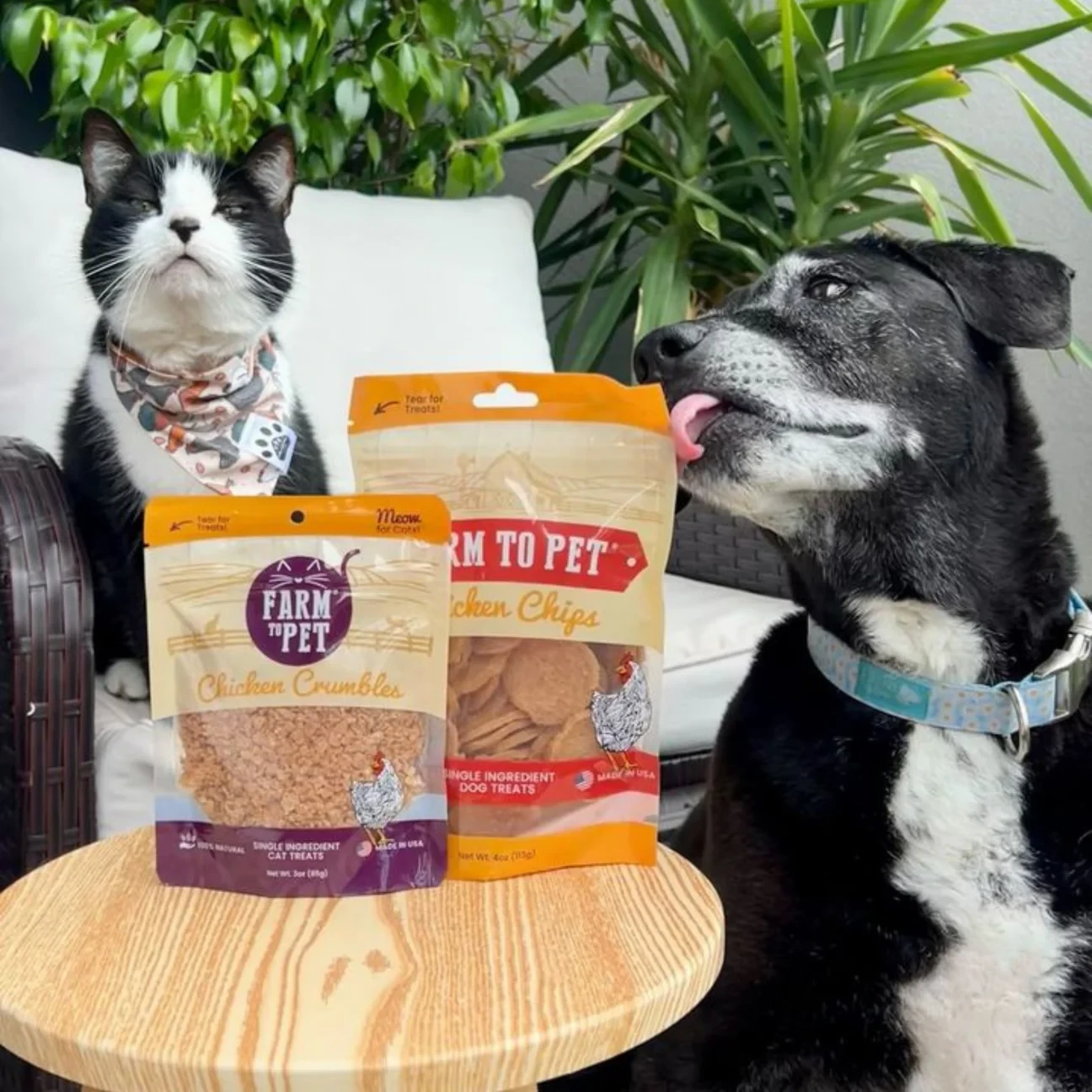 Farm to Pet Single Ingredient Snacks